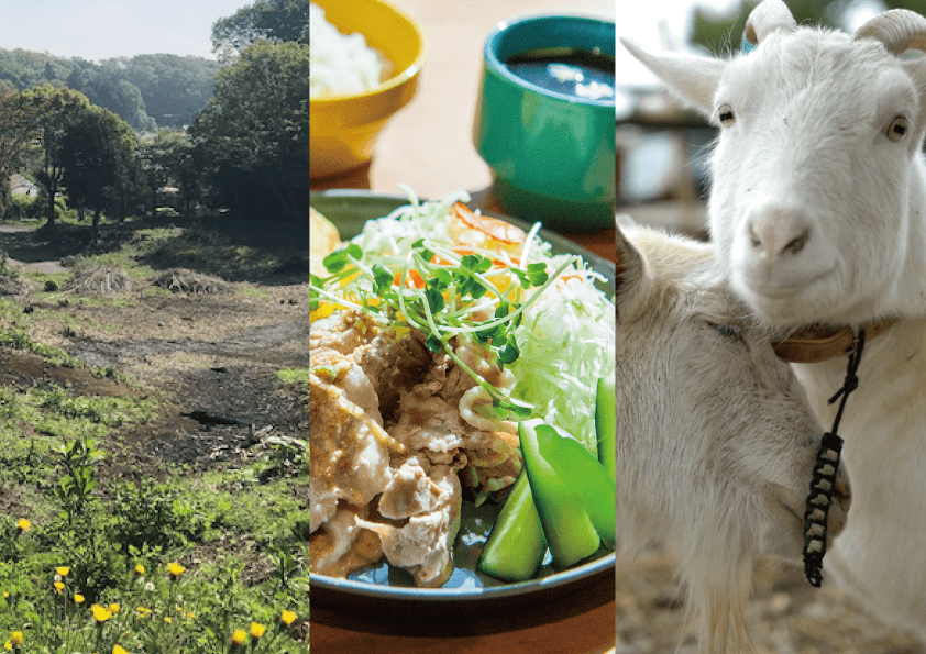 東京藝術大学取手校地　藝大食堂×野外×取手アートプロジェクト